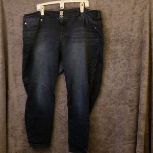 Torrid Skinny Jean 24R